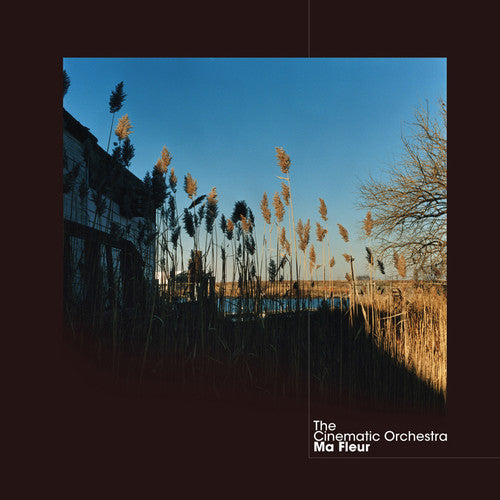 the album cover for Cinematic Orchestra - Ma Fleur
