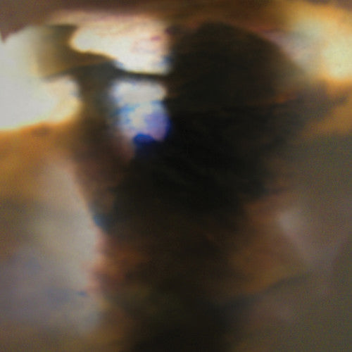 the album cover for Animal Collective - Fall Be Kind