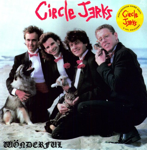 the album cover for Circle Jerks - Wonderful