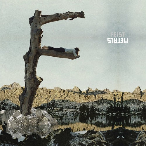 the album cover for Feist - Metals