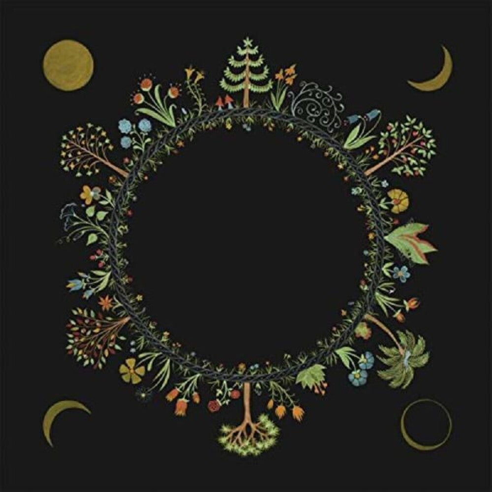 the album cover for Laura Stevenson - Wheel