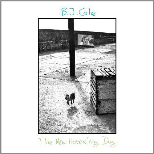 the album cover for BJ Cole - New Hovering Dog