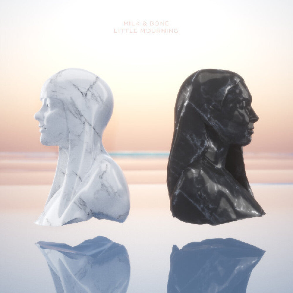 the album cover for Milk & Bone - Little Mourning