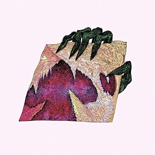 the album cover for Wand - Ganglion Reef