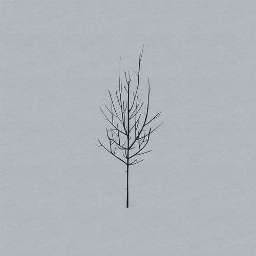 the album cover for Low - Ones and Sixes