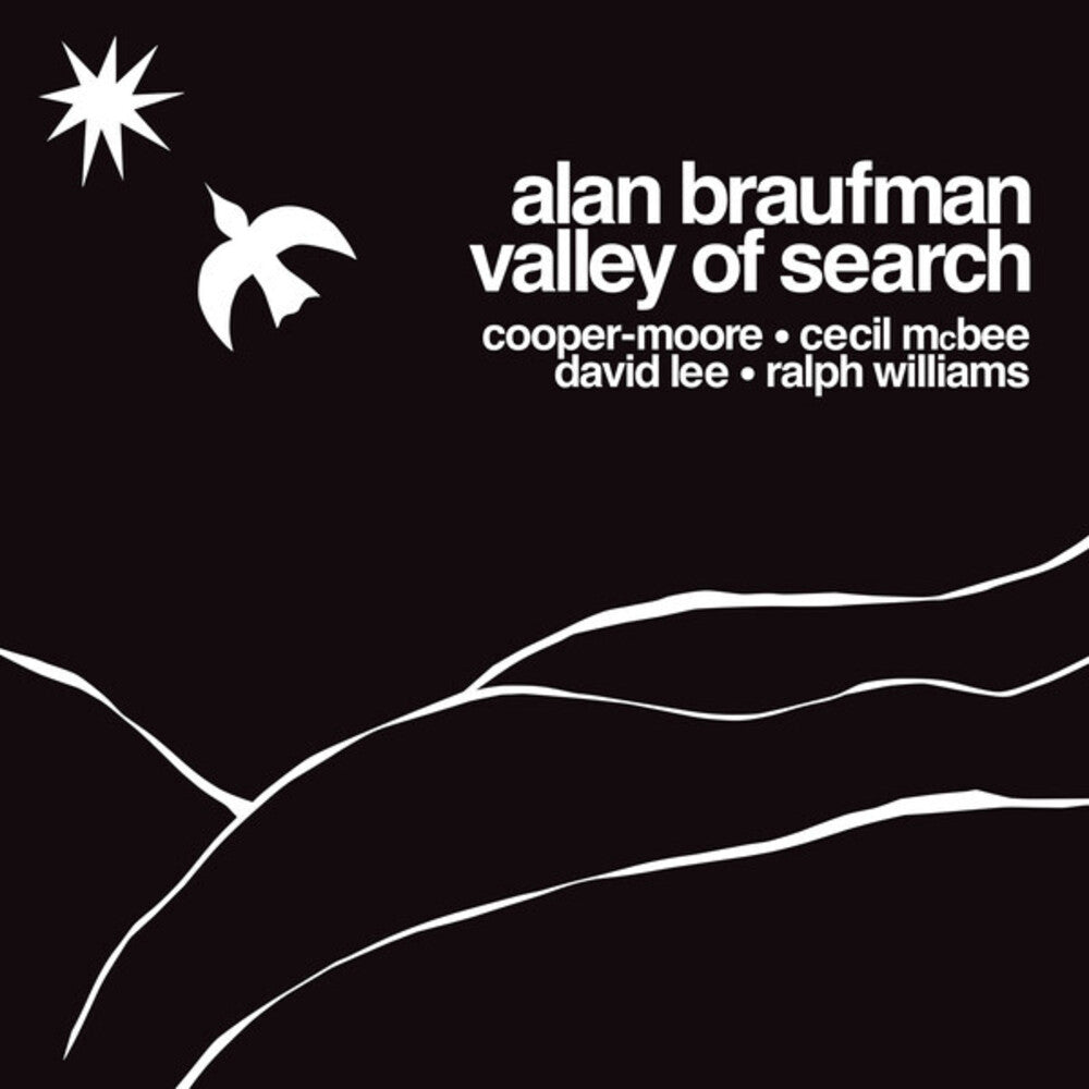 the album cover for Alan Braufman - Valley Of Search