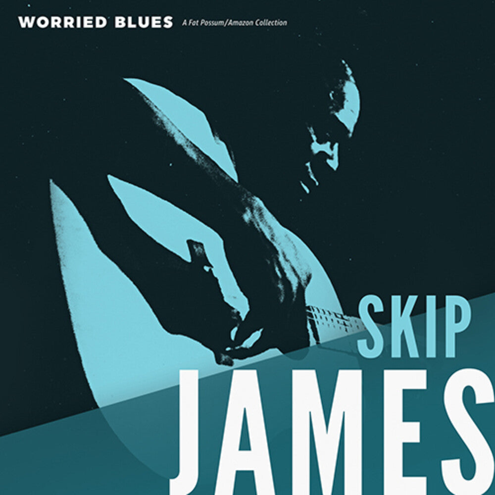 the album cover for Skip James - Worried Blues