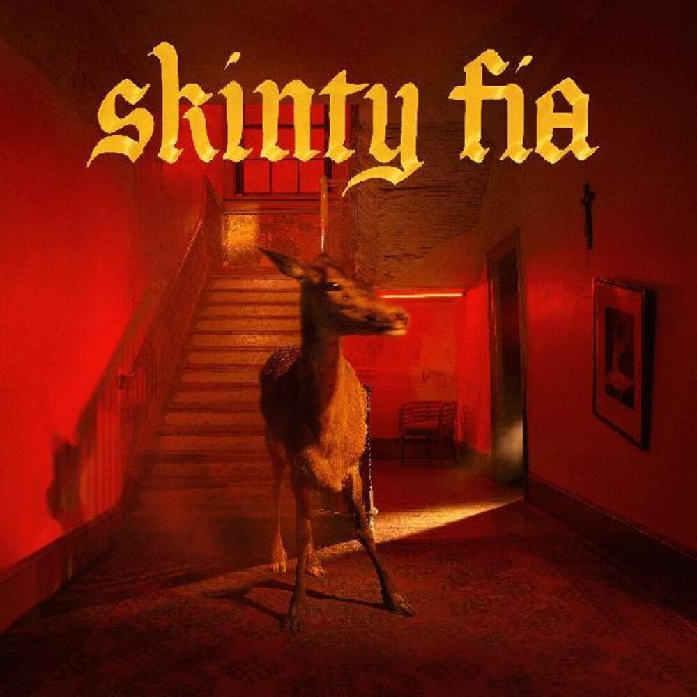 the album cover for Fontaines D.C. - Skinty Fia