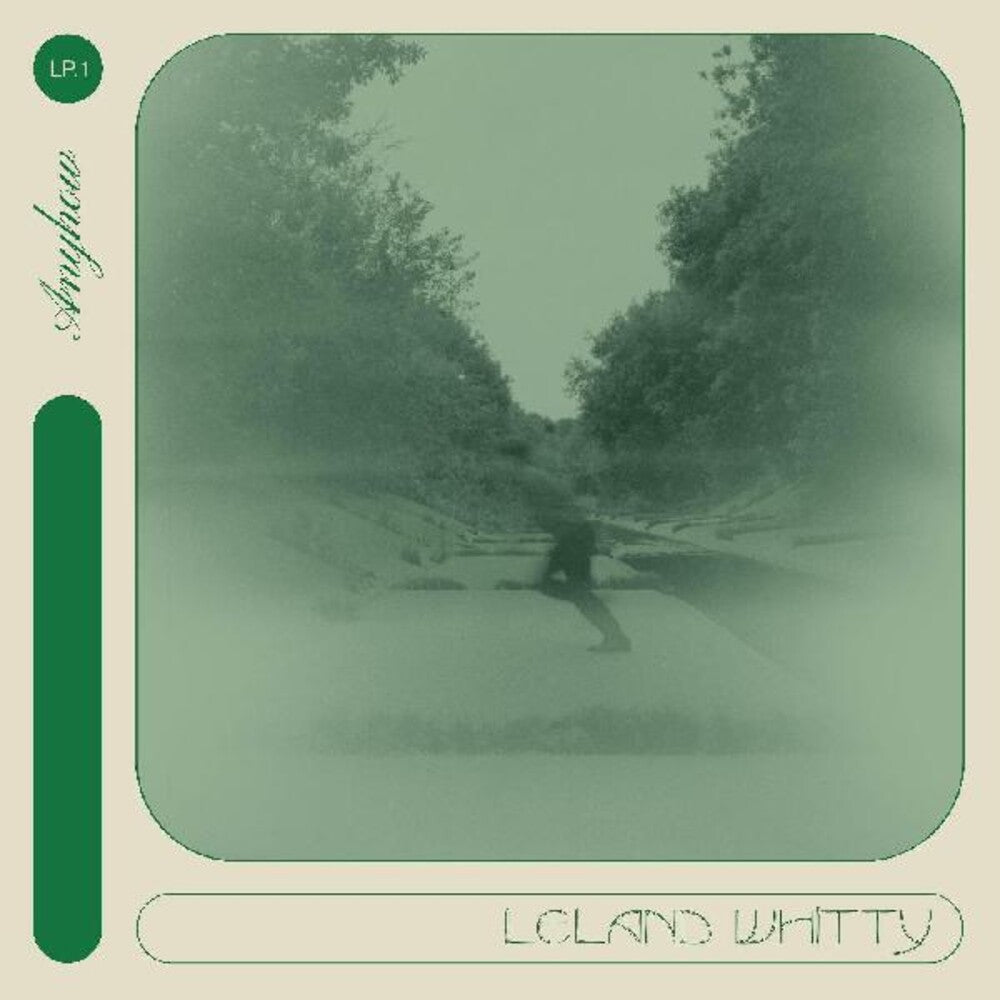 the album cover for Leland Whitty - Anyhow