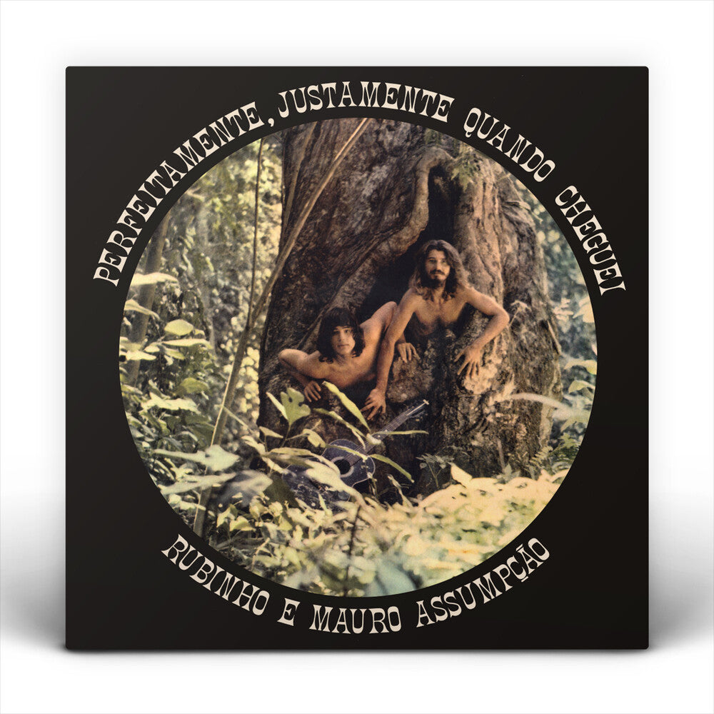 the album cover for Rubinho E Mauro Assumpçao - Perfeitamente Justamente Quando Cheguei