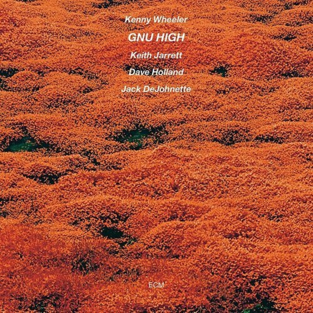the album cover for Kenny Wheeler - Gnu High