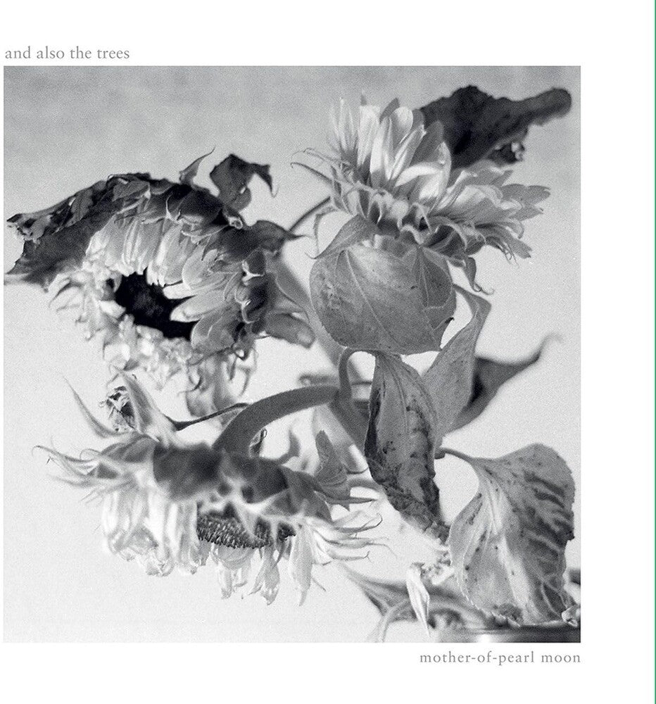 the album cover for And Also The Trees - Mother-Of-Pearl Moon (Uk)