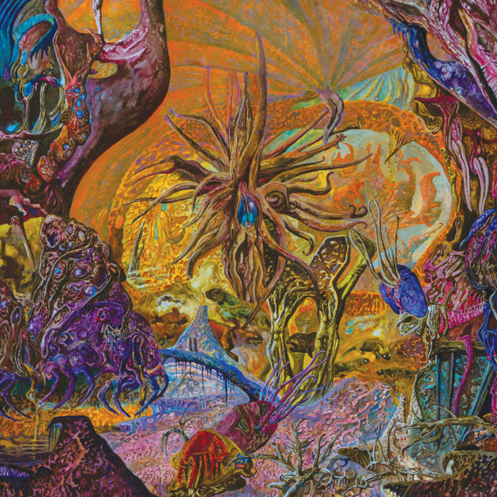 the album cover for SlimeLord - Chytridiomycosis Relinquished - Orange/royal Blue
