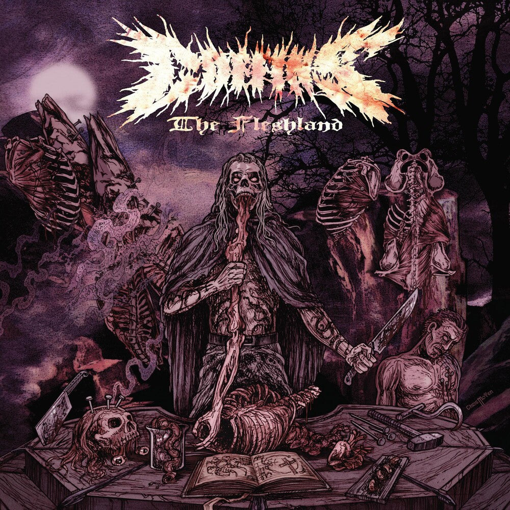the album cover for Coffins - Fleshland - Limited Violet & Hot Pink with Violet, Pink & Bone White Splatter Colored Vinyl
