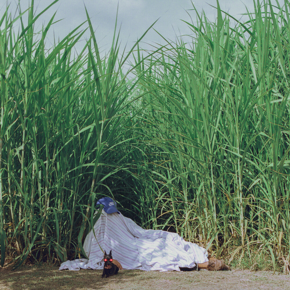 the album cover for Indus - Negra