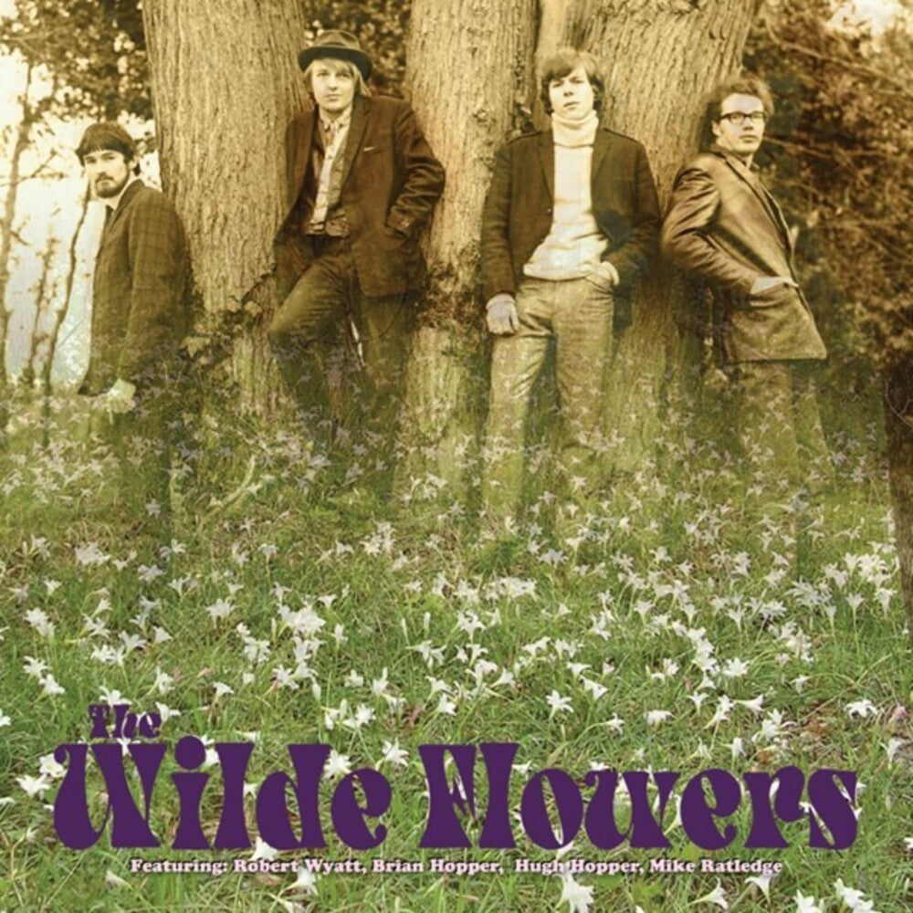 the album cover for Unknown Artist - The Wilde Flowers