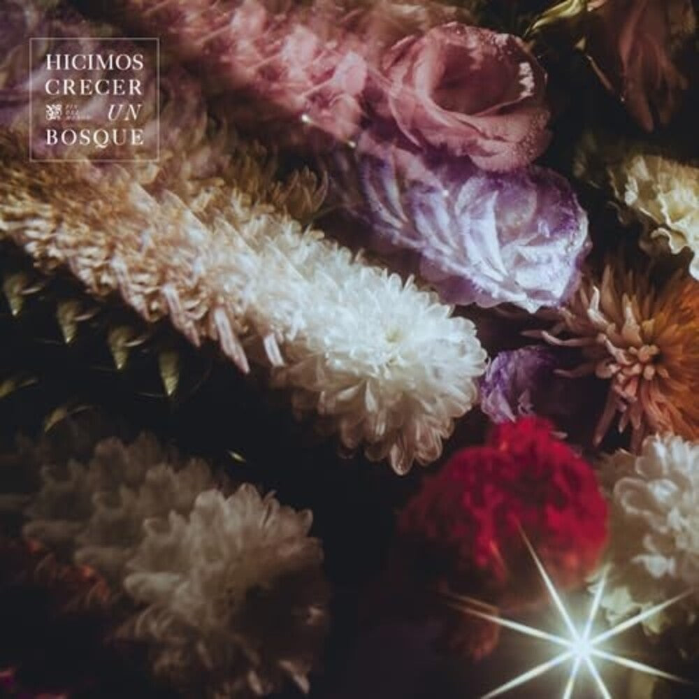 the album cover for Fin del Mundo - Hicimos Crecer Un Bosque