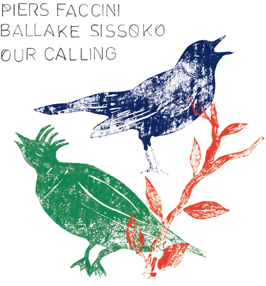 the album cover for Piers Faccini / Sissoko,Ballake - Our Calling