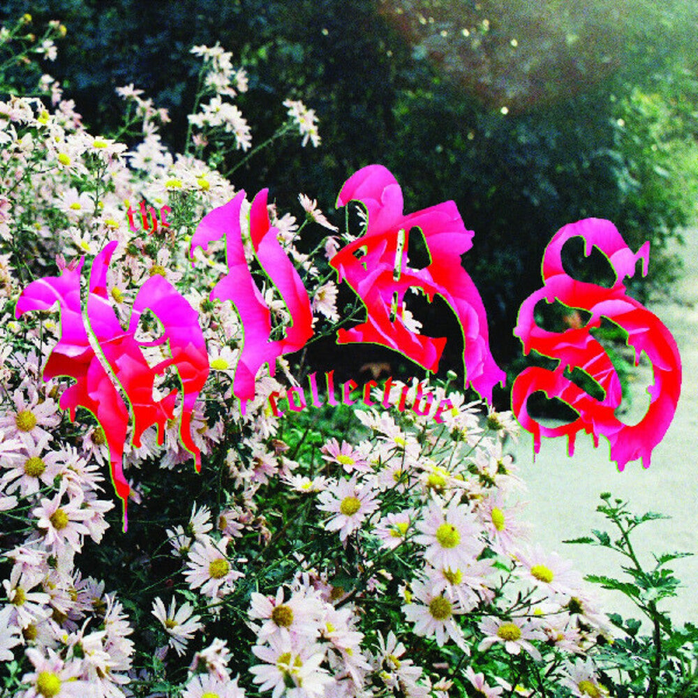 the album cover for Hirs Collective - We're Still Here