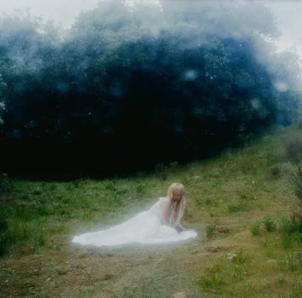 the album cover for Wisp - If Not Winter