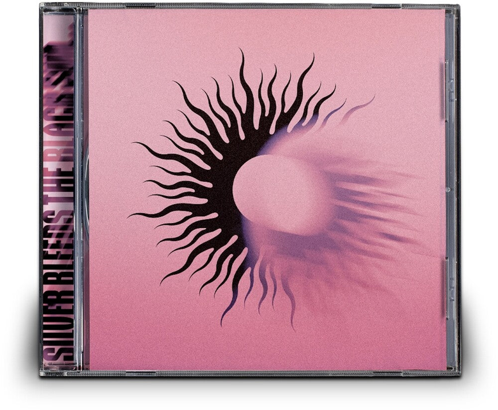 the album cover for AFI - Silver Bleeds The Black Sun