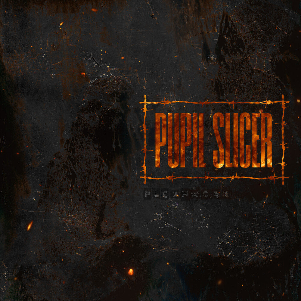 the album cover for Pupil Slicer - Fleshwork