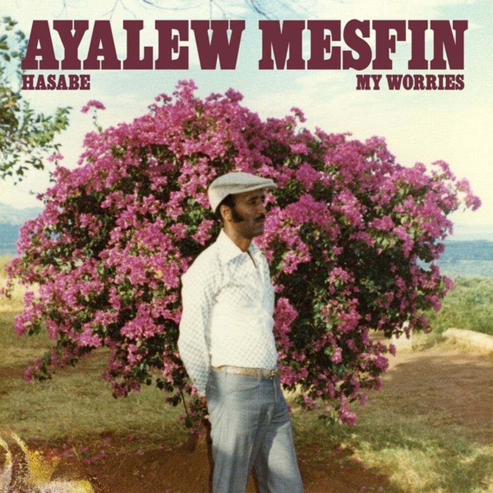 the album cover for Mesfin, Ayalew - Hasabe - My Worries