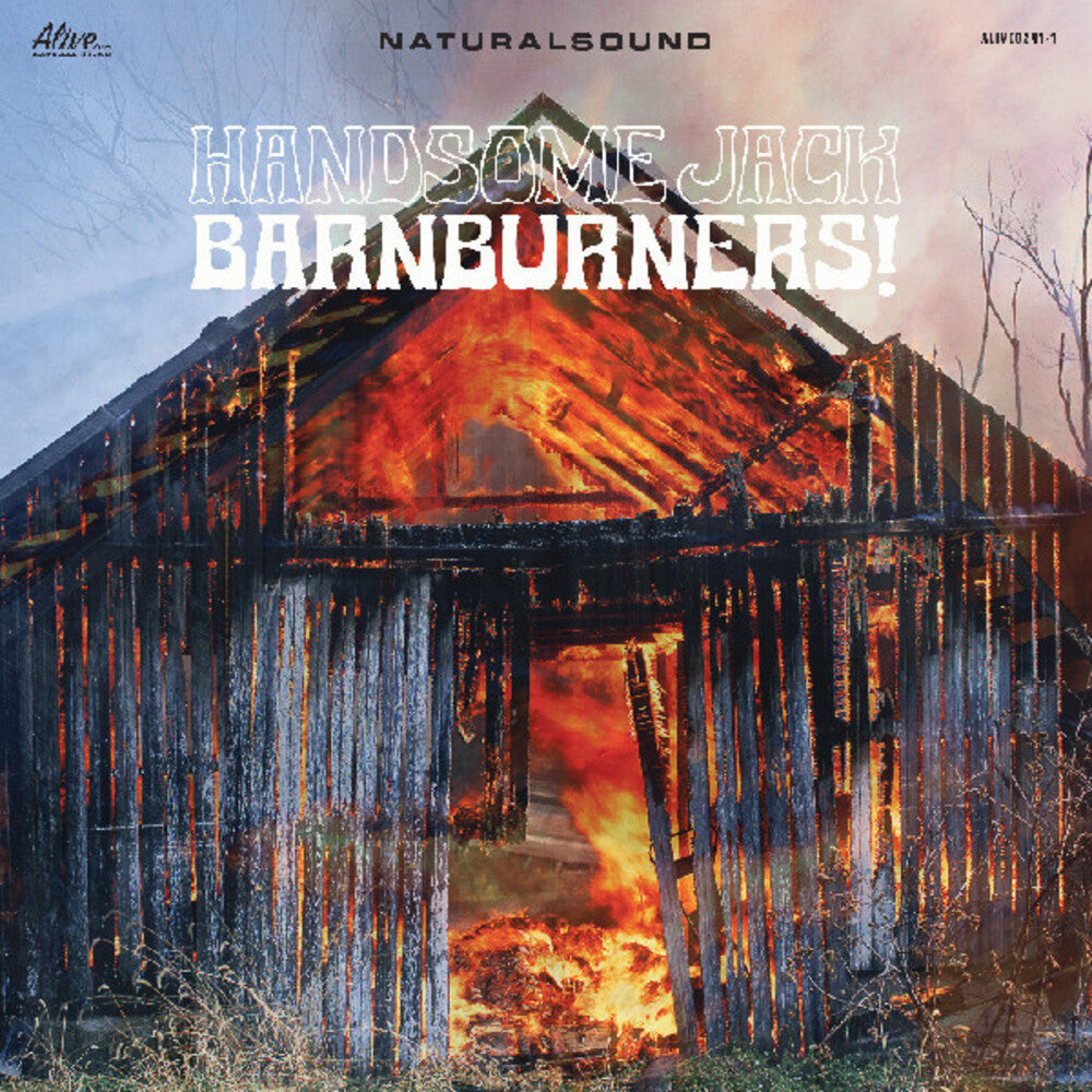 the album cover for Handsome Jack - Barnburners
