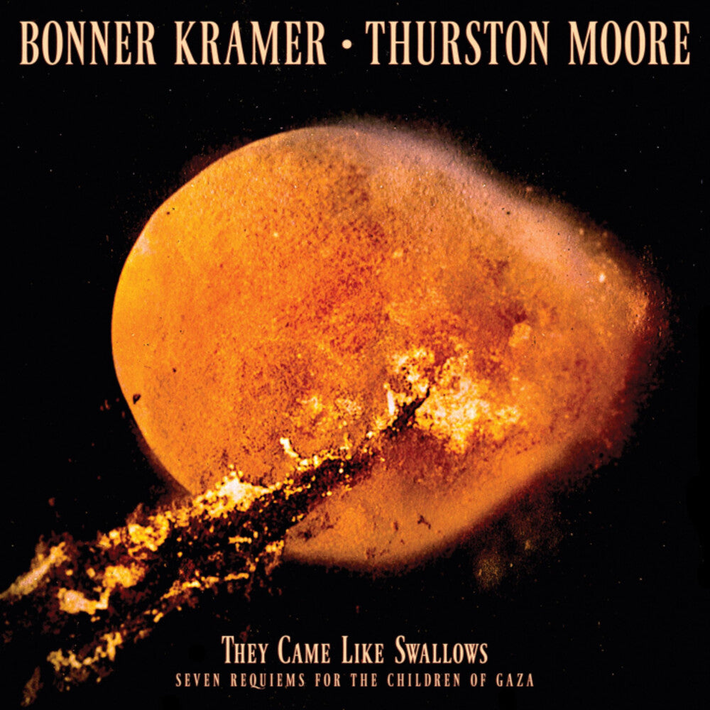 the album cover for Bonner Kramer / Moore,Thurston - They Came Like Swallows - Seven Requiems