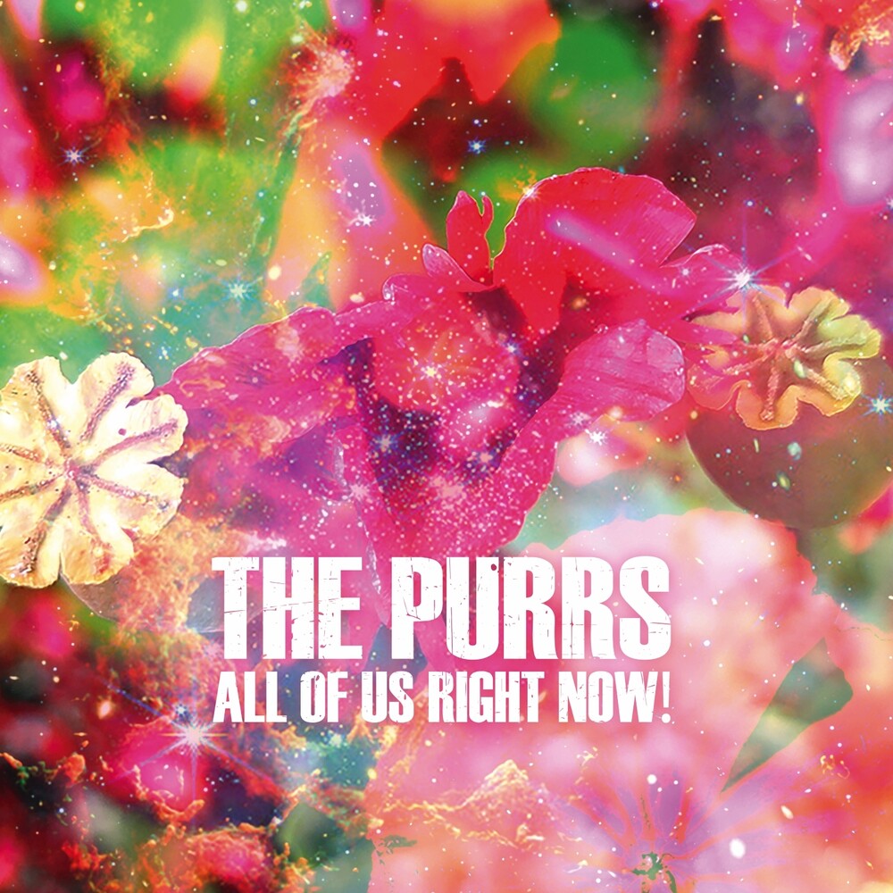 the album cover for The Purrs - All Of Us Right Now