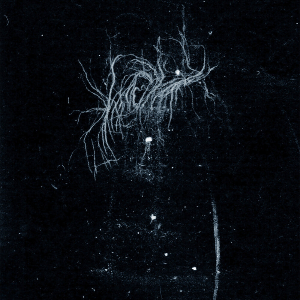 the album cover for My Heart, An Inverted Flame - My Death Is More Beautiful Than Your Life