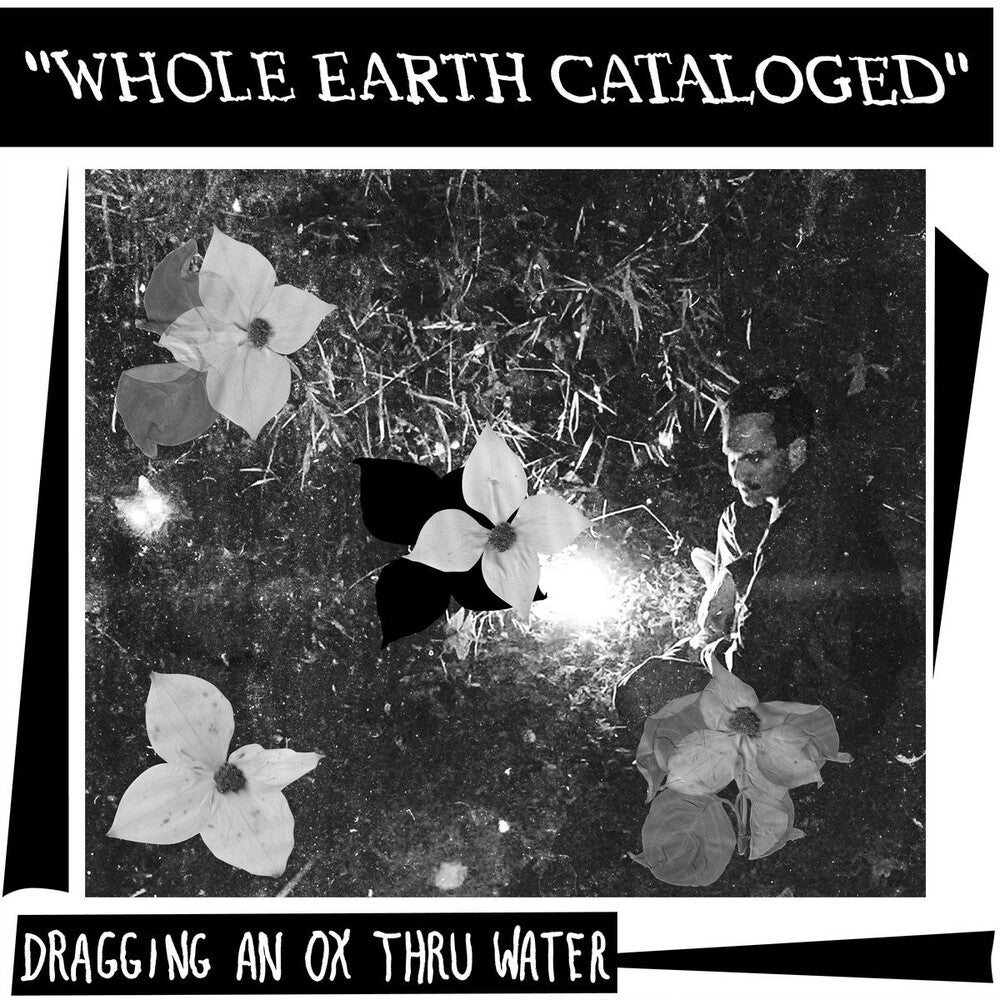the album cover for Dragging an Ox through Water - Whole Earth Catalogued