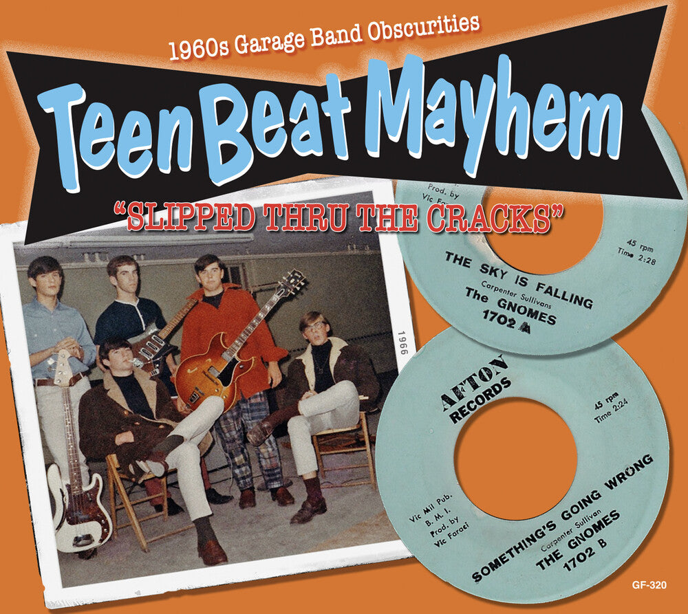 the album cover for Teenbeat Mayhem / Various - Teenbeat Mayhem / Various