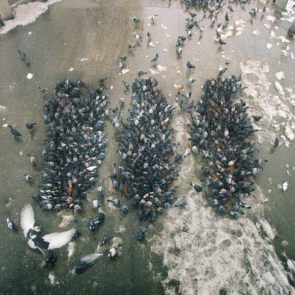 the album cover for Show Me The Body - Alone Together