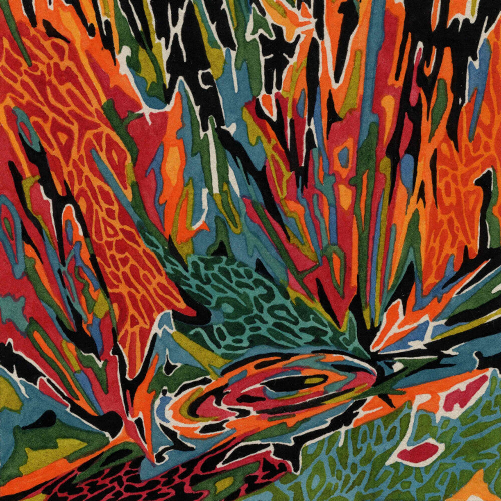 the album cover for Akusmi - Terra Incognita (color Vinyl)