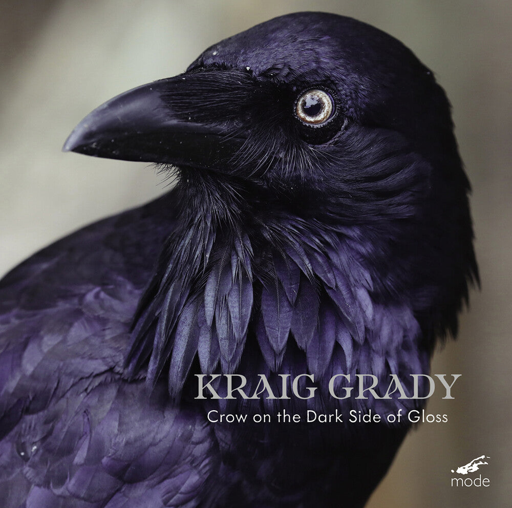 the album cover for Kraig Grady - Kraig Grady: Crow On The Dark Side Of Gloss