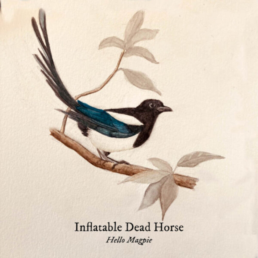 the album cover for Inflatable Dead Horse - Hello Magpie