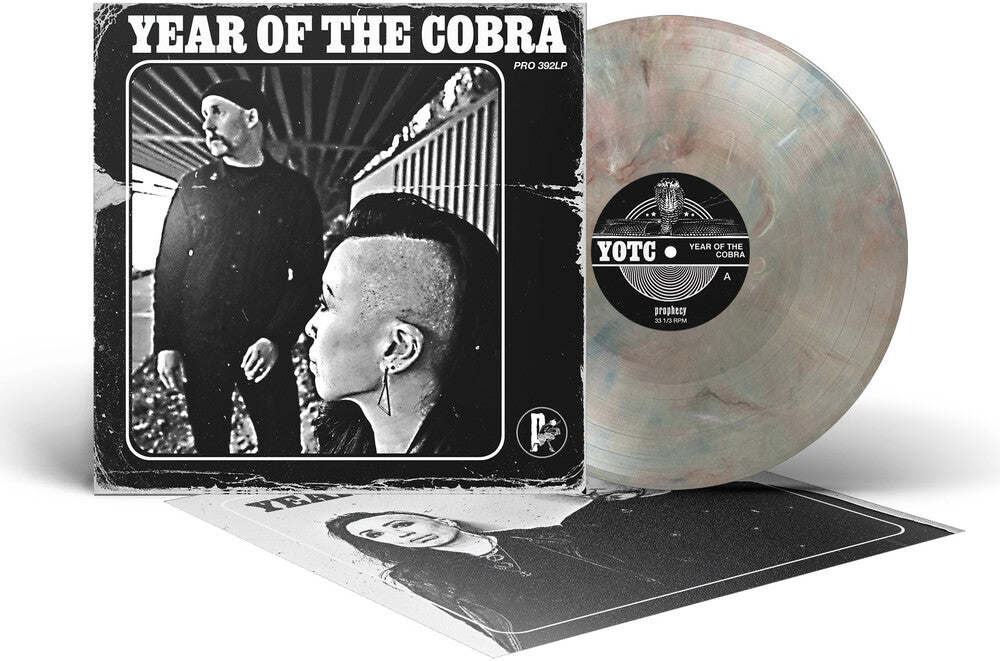 the album cover for Unknown Artist - Year of the Cobra