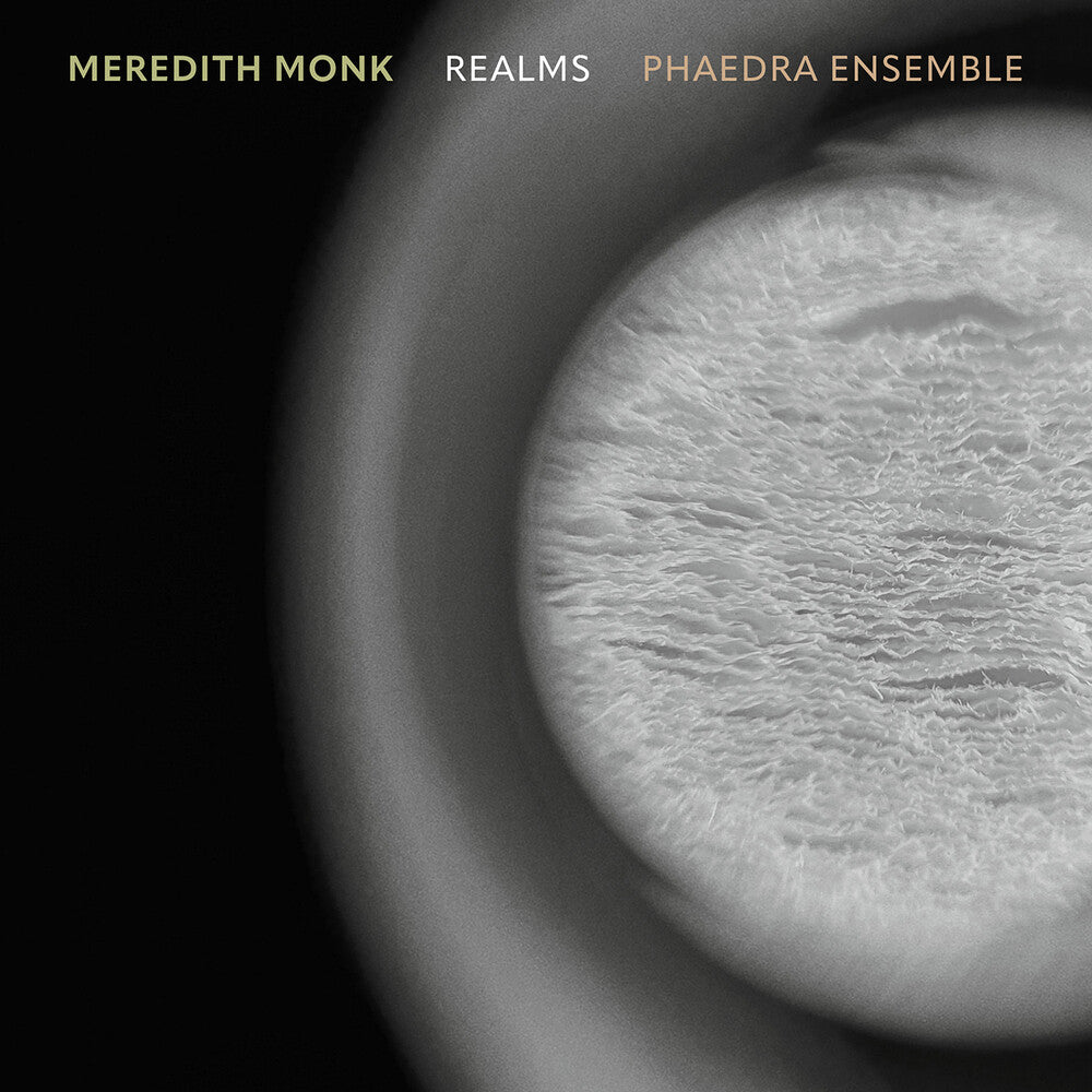 the album cover for Phaedra Ensemble - Realms