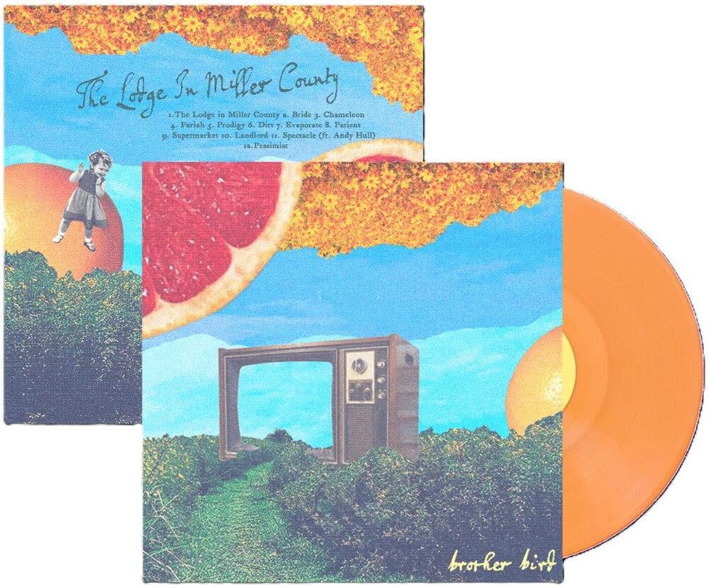 the album cover for Brother Bird - Lodge In Miller County