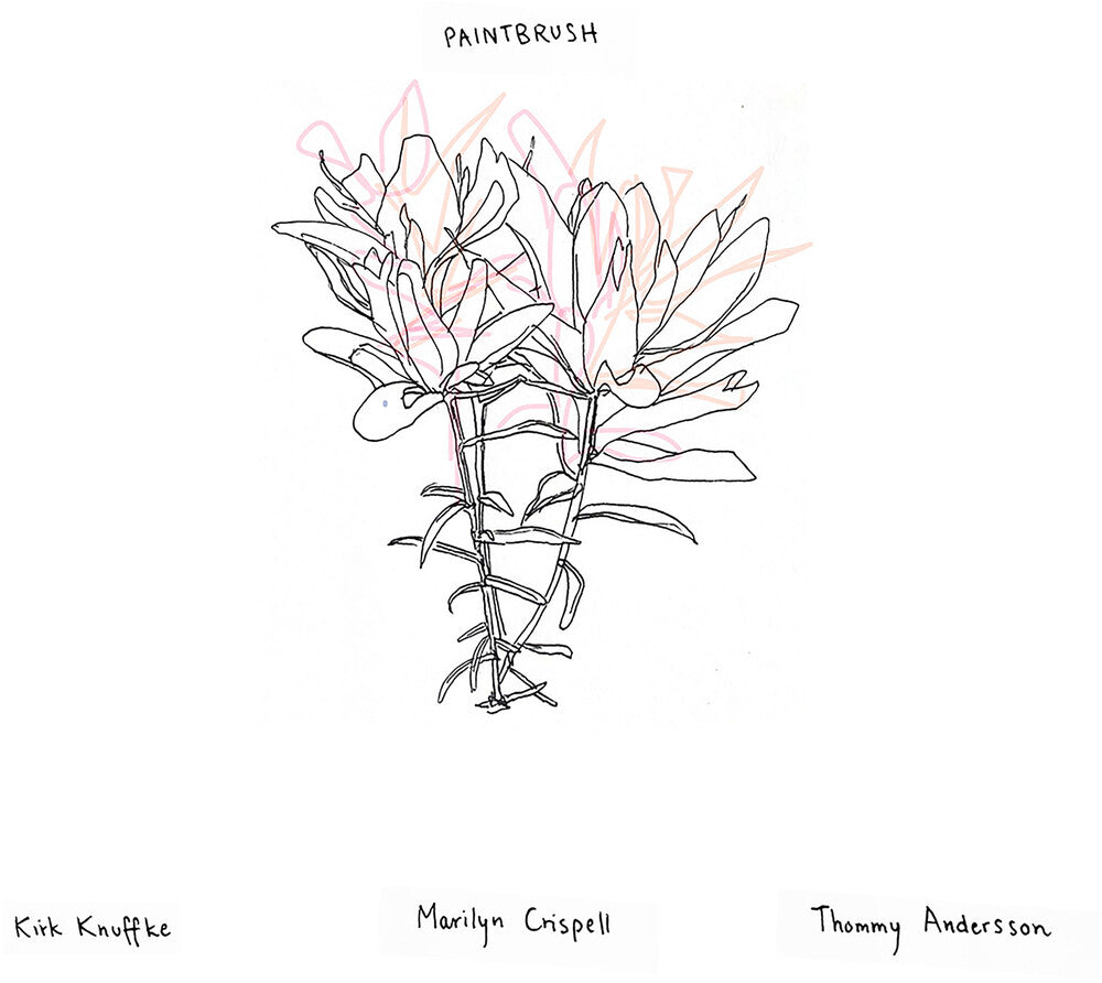 the album cover for Kirk Knuffke - Paintbrush