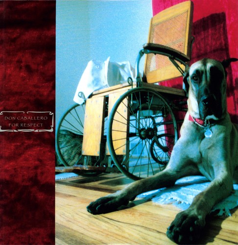 the album cover for Don Caballero - For Respect [Reissue]