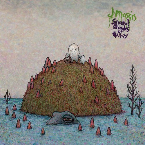 the album cover for J Mascis - Several Shades Of Why [Colored Vinyl]