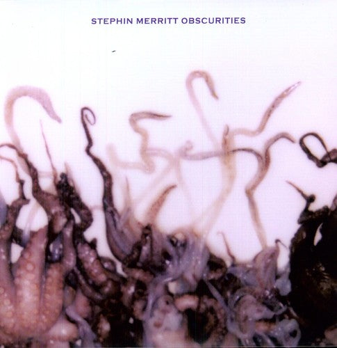 the album cover for Stephin Merritt - Obscurities