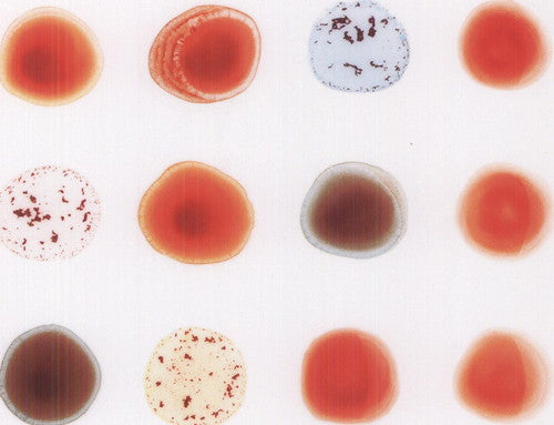 the album cover for Peter Gabriel - Scratch My Back & I'll Scratch Yours [Import]