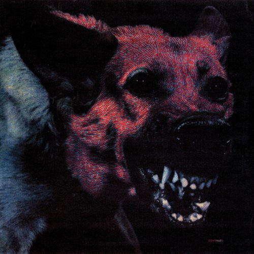 the album cover for Protomartyr - Under Color Of Official Right [Vinyl]