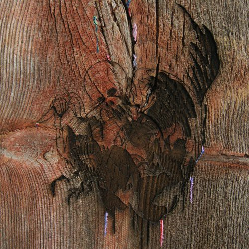 the album cover for Avey Tares Slasher Flicks - Enter The Slasher House [Vinyl]