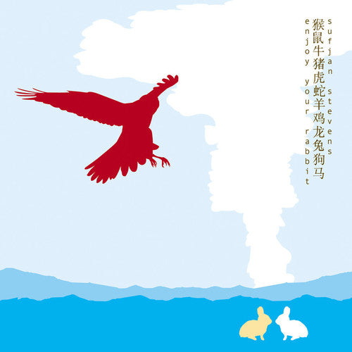 the album cover for Sufjan Stevens - Enjoy Your Rabbit [Vinyl]
