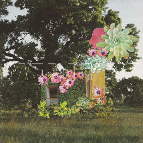 the album cover for Medicine - Home Everywhere [Vinyl]