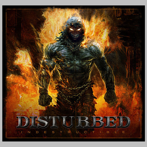 the album cover for Disturbed - Indestructable [Vinyl]